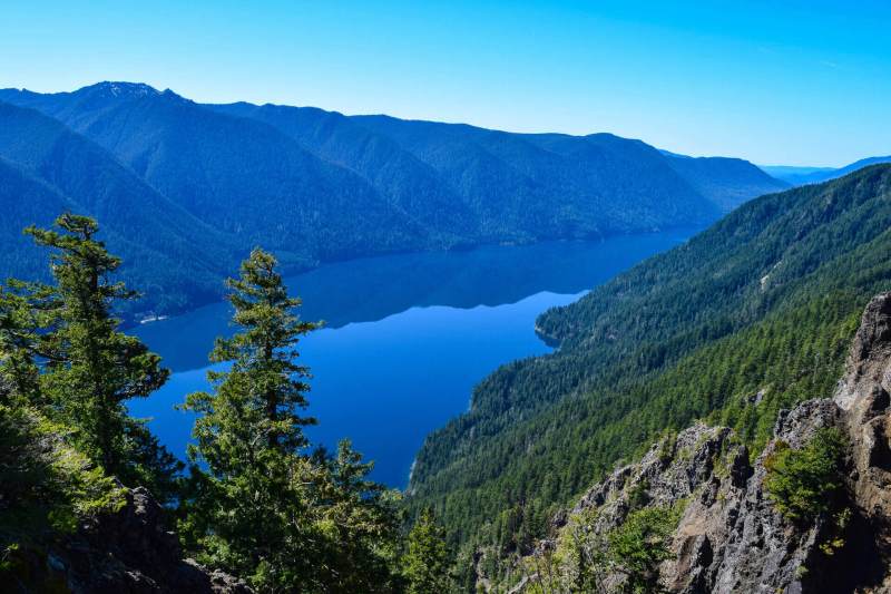 Best Day Hikes In Olympic National Park