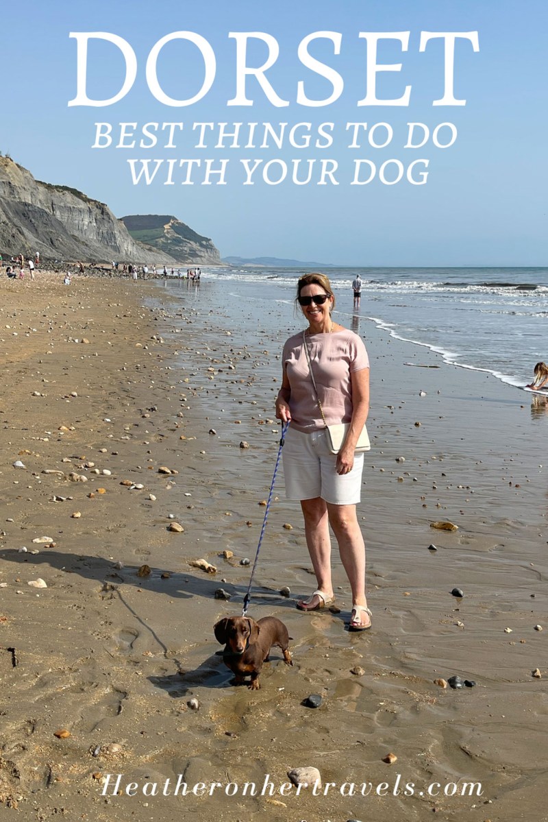 Best Dog Friendly Beaches Dorset