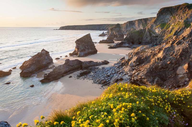 Best Dog Friendly Beaches Near Looe