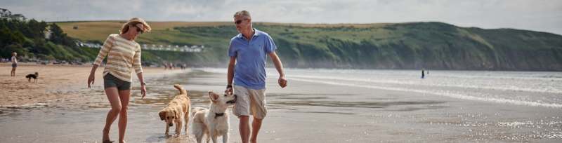 Best Dog Friendly Holidays Wales