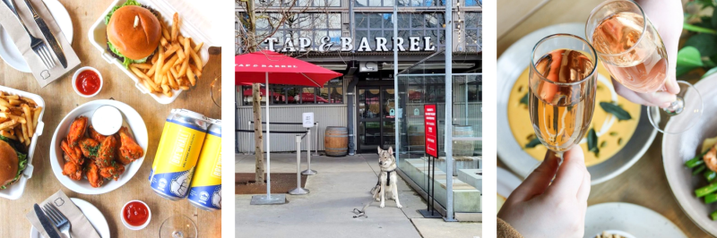 Best Dog Friendly Patios