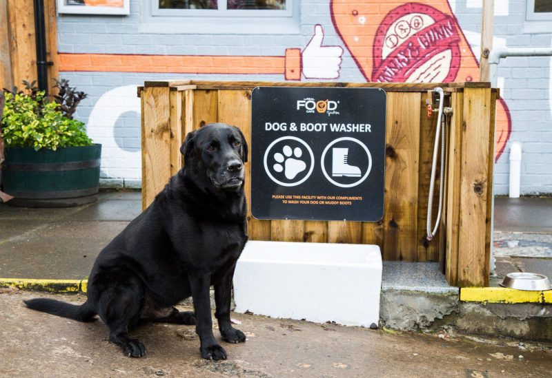 Best Dog Friendly Restaurants Edinburgh