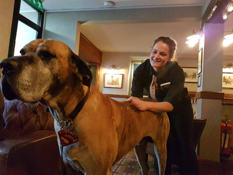 Best Dog Friendly Restaurants Keswick