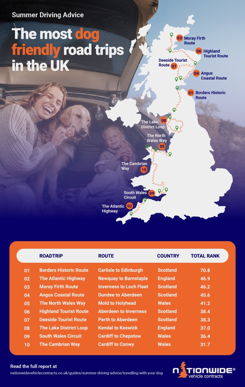 Best Dog Friendly Road Trips