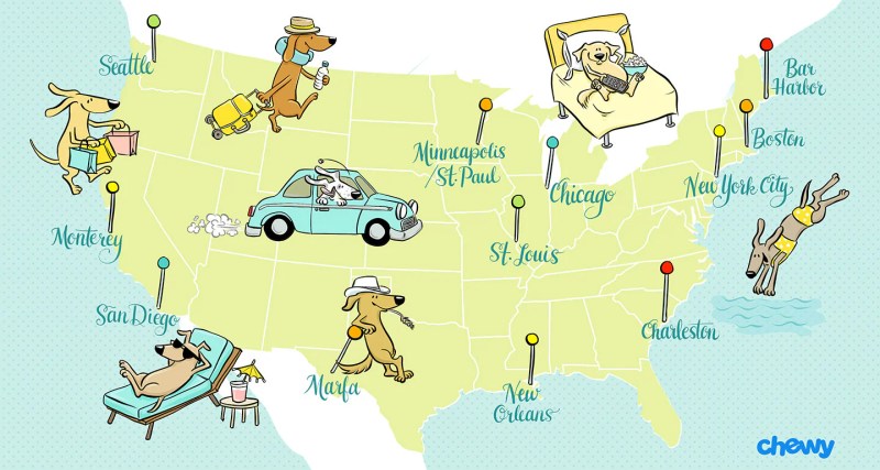 Best Dog Friendly Vacations Usa