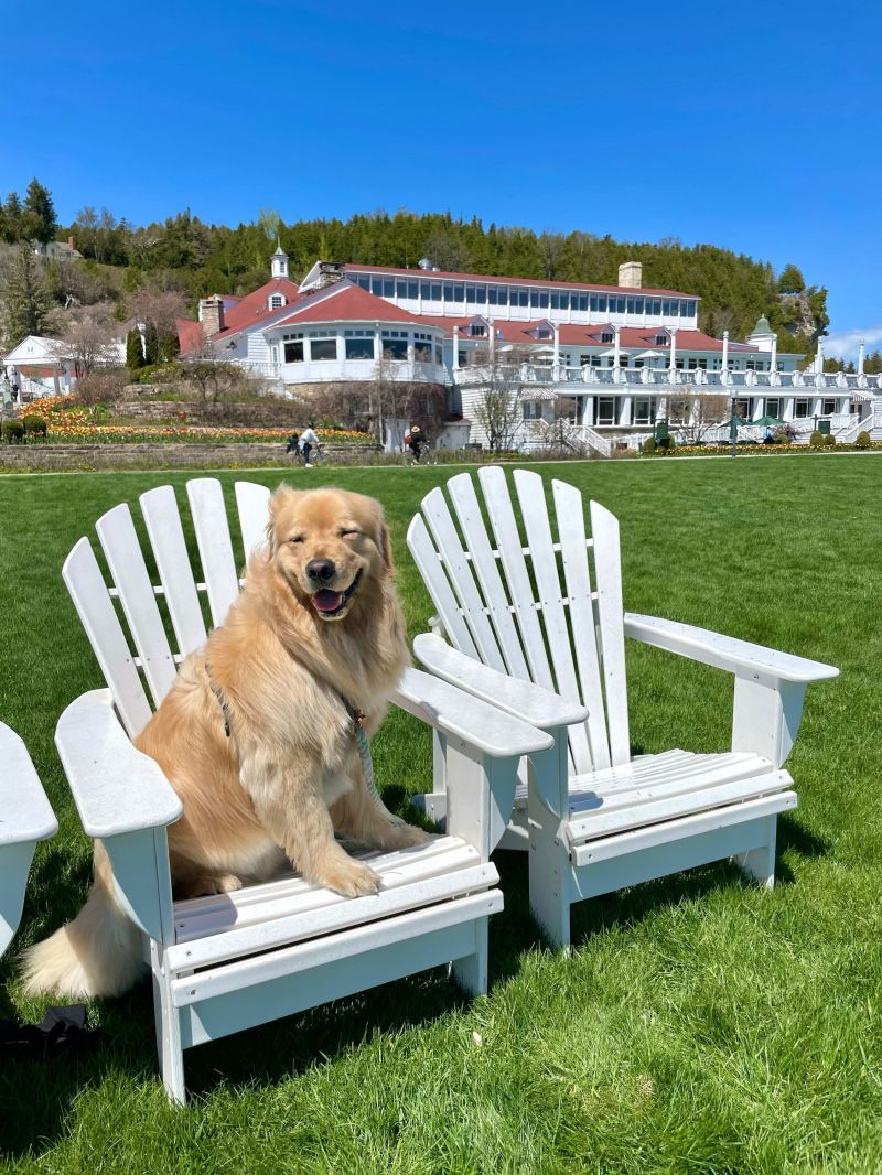 Best Pet Friendly Resorts New England