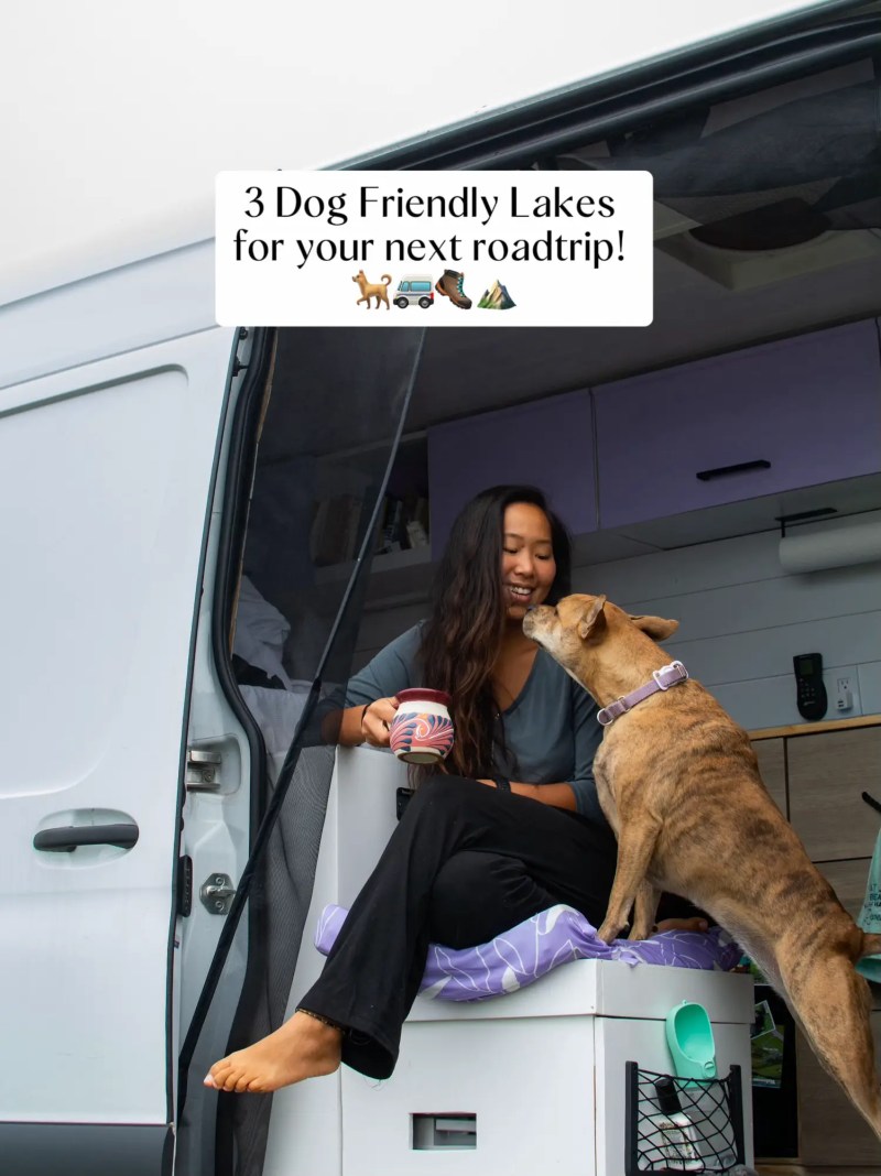 Best Pet Friendly Vacations In The Us