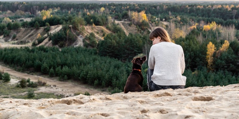 Dog Friendly Destinations Near Me