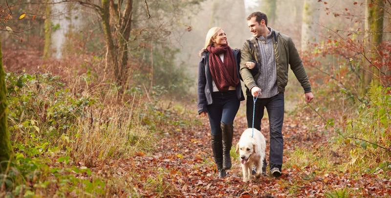 Dog Friendly Places Near Me To Walk