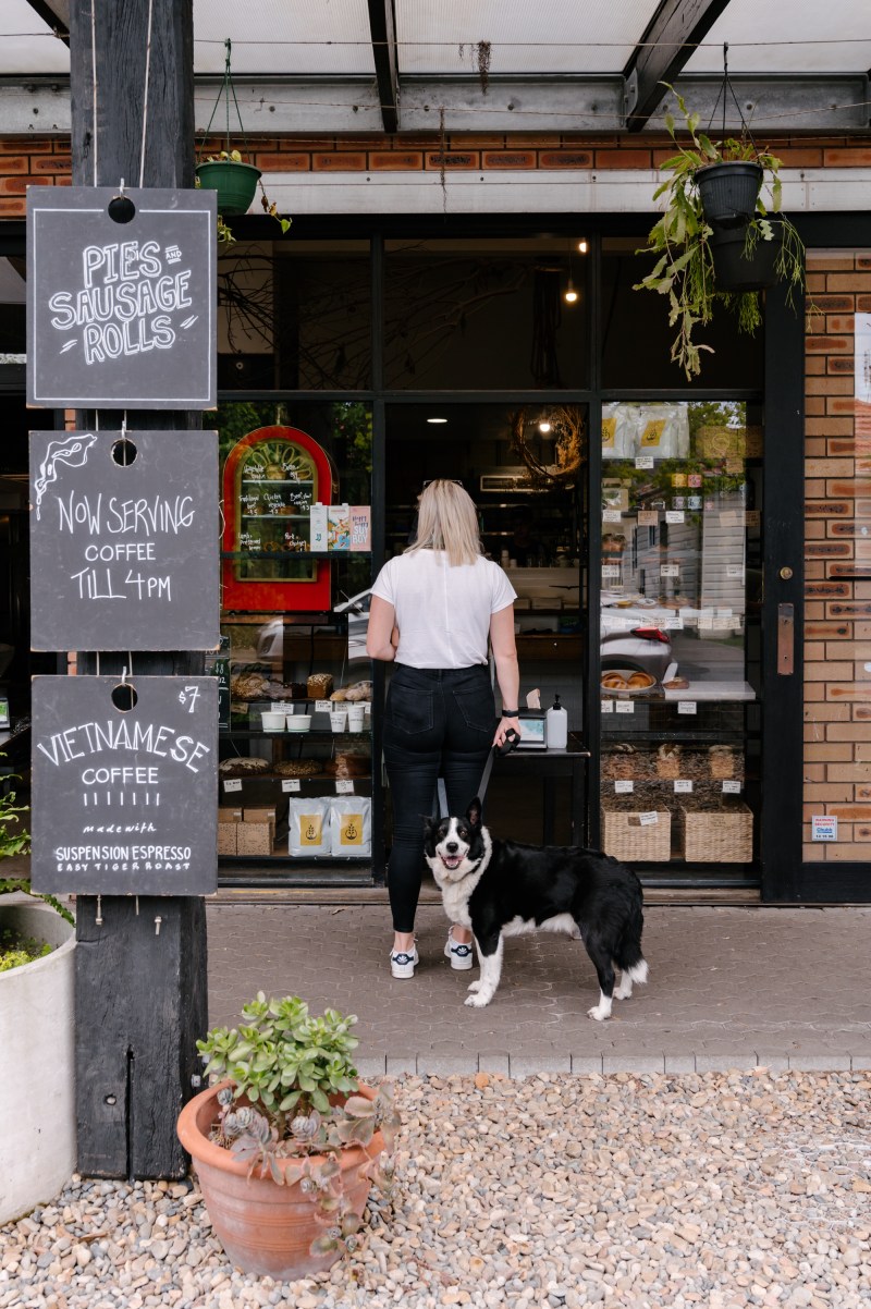 Dog Friendly Pubs Near Me Open Now