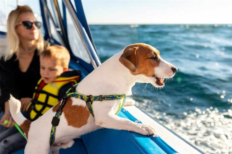 Dog Friendly Vacations West Coast