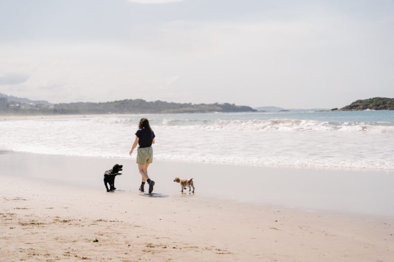 Pet Friendly Beach Vacations Near Me