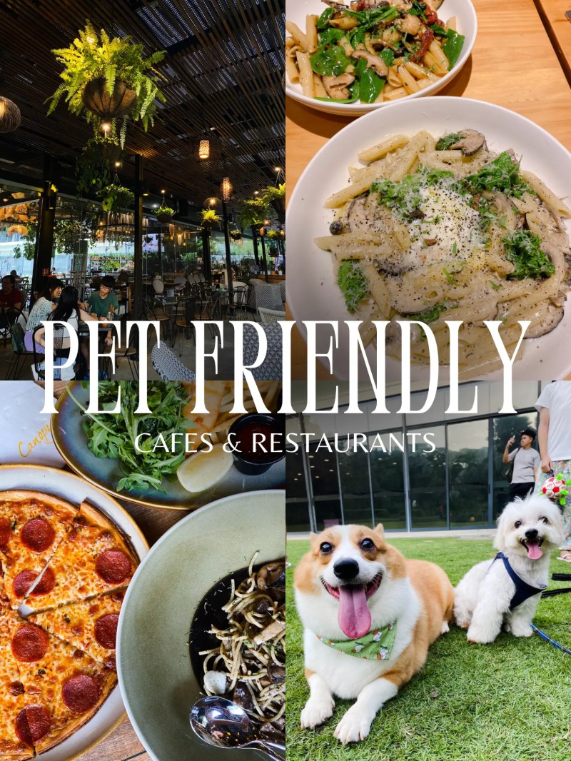 Resorts Pet Friendly Near Me