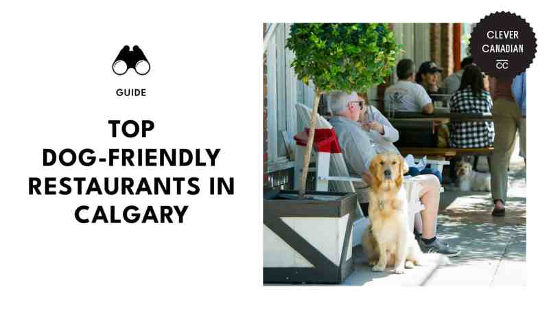 Restaurant With Dog Friendly Patio Near Me