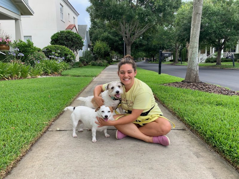 Vacation Dog Walker