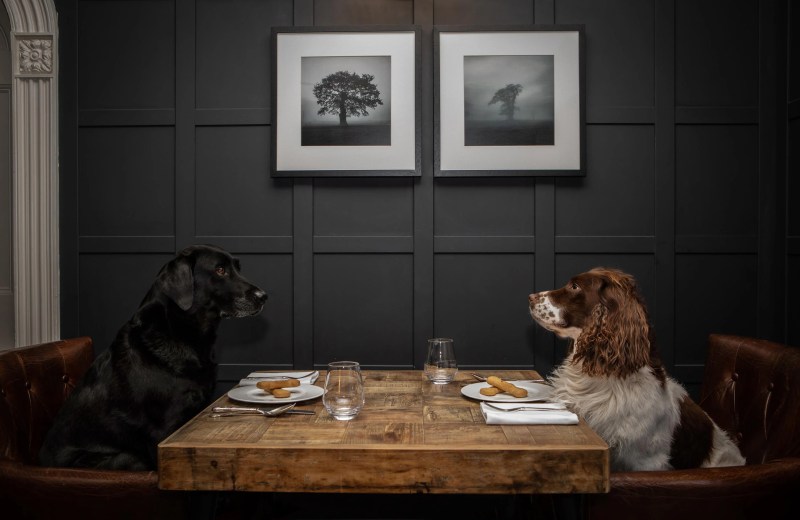 Best Dog Friendly Hotels Lake District