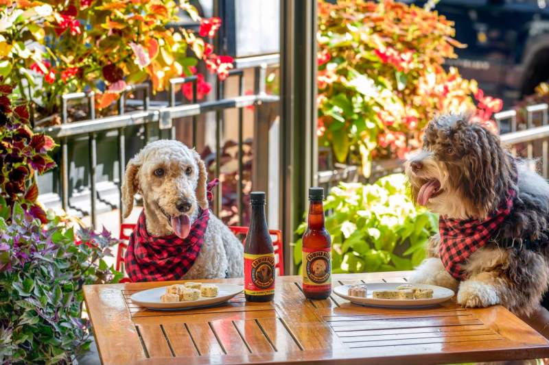 Best Dog Friendly Restaurants Nyc