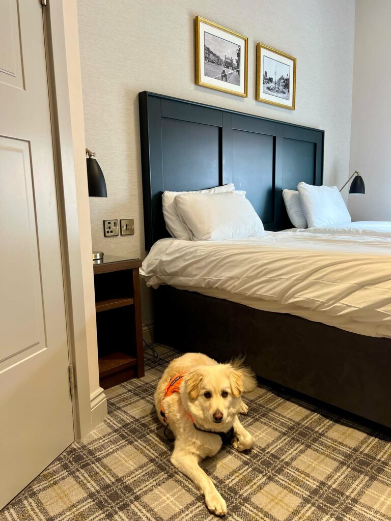 Best Dog Friendly Stays Uk