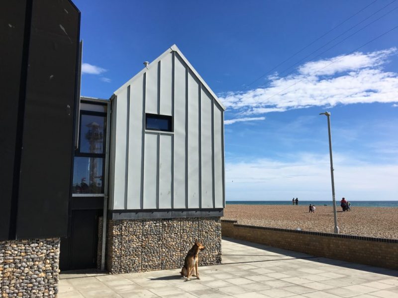 Dog Friendly Holidays Brighton