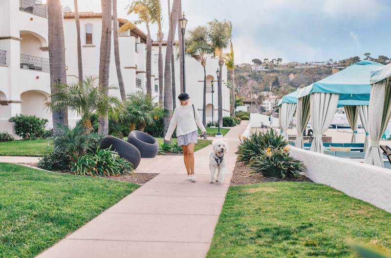 Dog Friendly Resorts Near San Diego