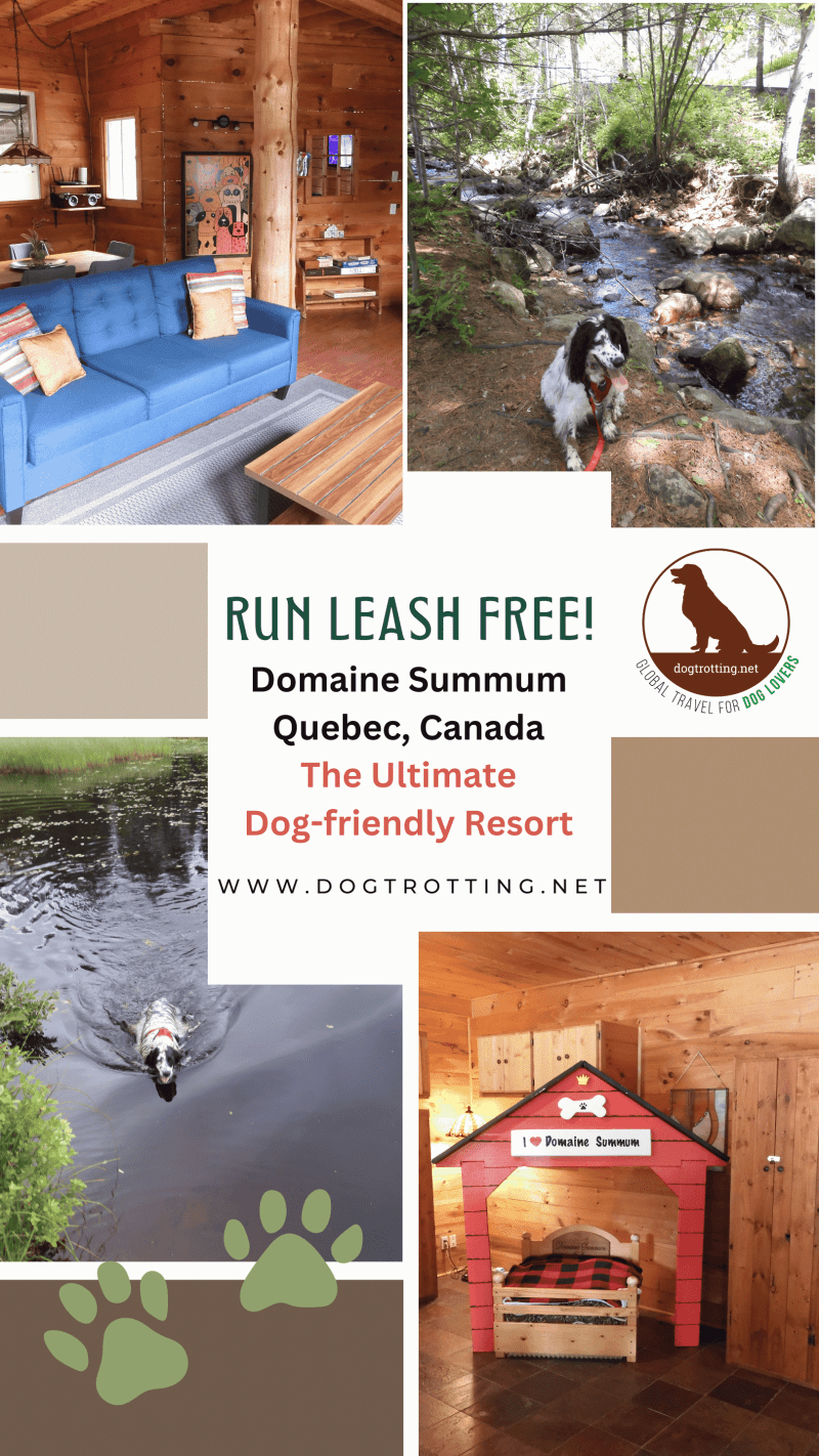 Dog Friendly Vacations In Canada