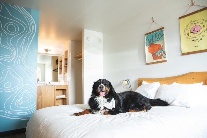 Pet Friendly Lodging Near Ellsworth Me